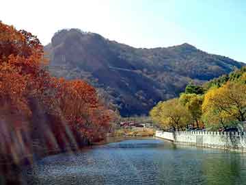 新澳天天开奖资料大全旅游团，头花发卡